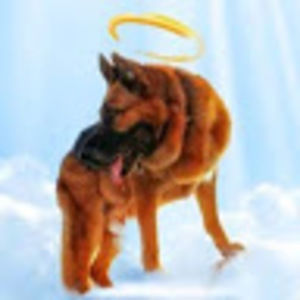 Meet your Posher, Iceis4me